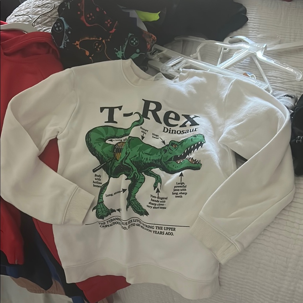 H&M Dinosaur Sweatshirt Boys size 8/10